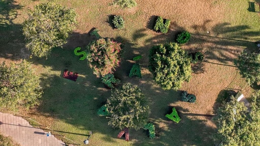 ESTO NOS SALVARÁ: Ghada Amer's Garden Installation in Valencia Haize Art