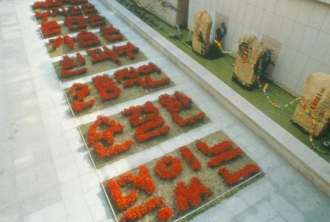 ESTO NOS SALVARÁ: Ghada Amer's Garden Installation in Valencia Haize Art