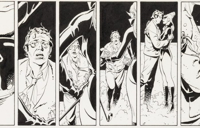 Bid for Good: Neil Gaiman's Heritage Auction for Charity Haize Art