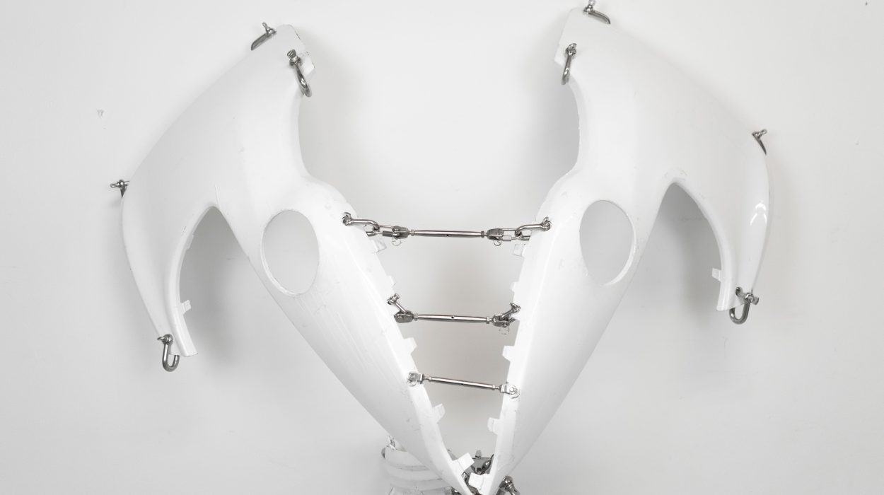 SELVA HUYGENS x HAIZE present 'Future Fossils' Haize Art